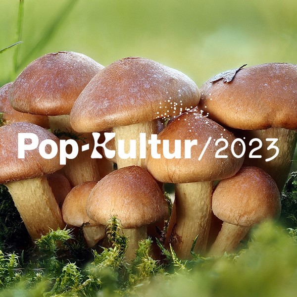 Pop-Kultur 2023, Foto: Sandra Bernhardt / Hansepilz