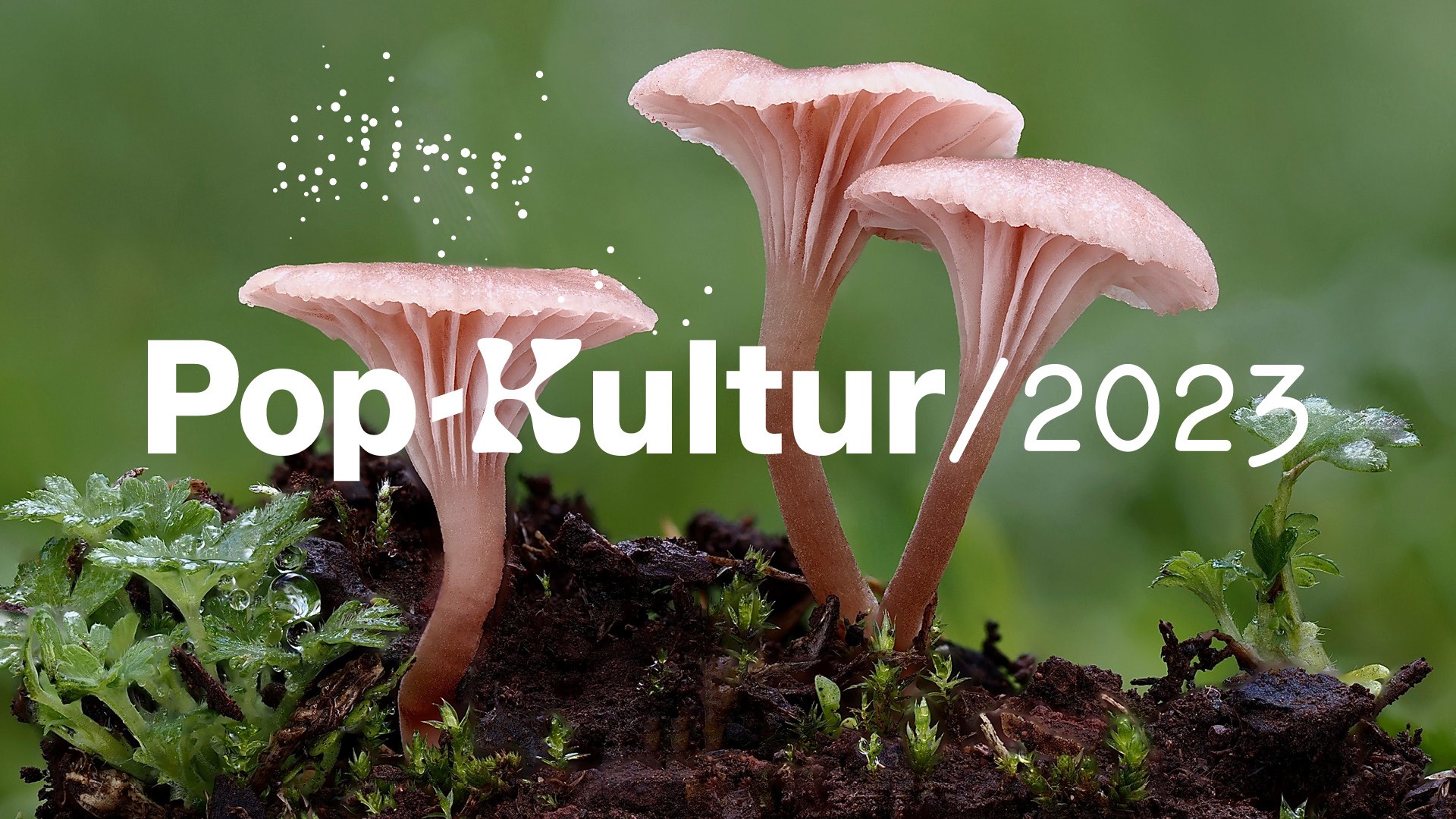 Pop-Kultur 2023, Foto: Sandra Bernhardt / Hansepilz